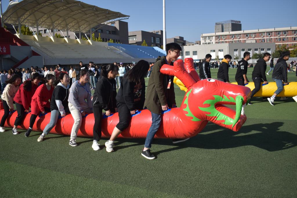 旱地龙舟
